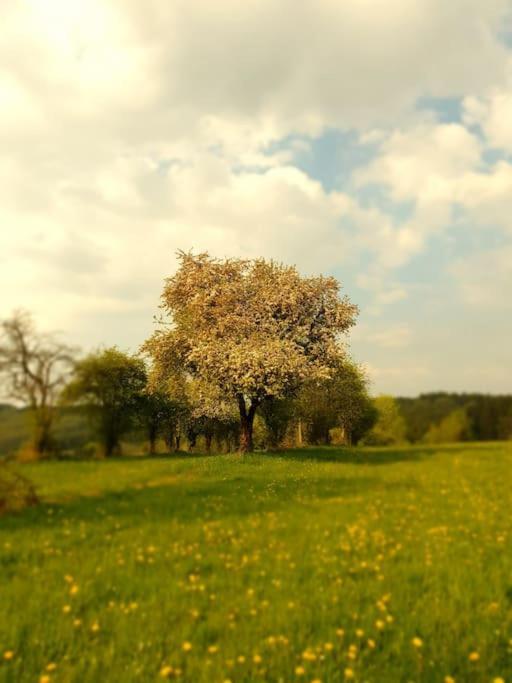Le Haut' Mont マネイ エクステリア 写真